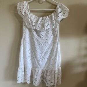 Express Cotton Lace Dress